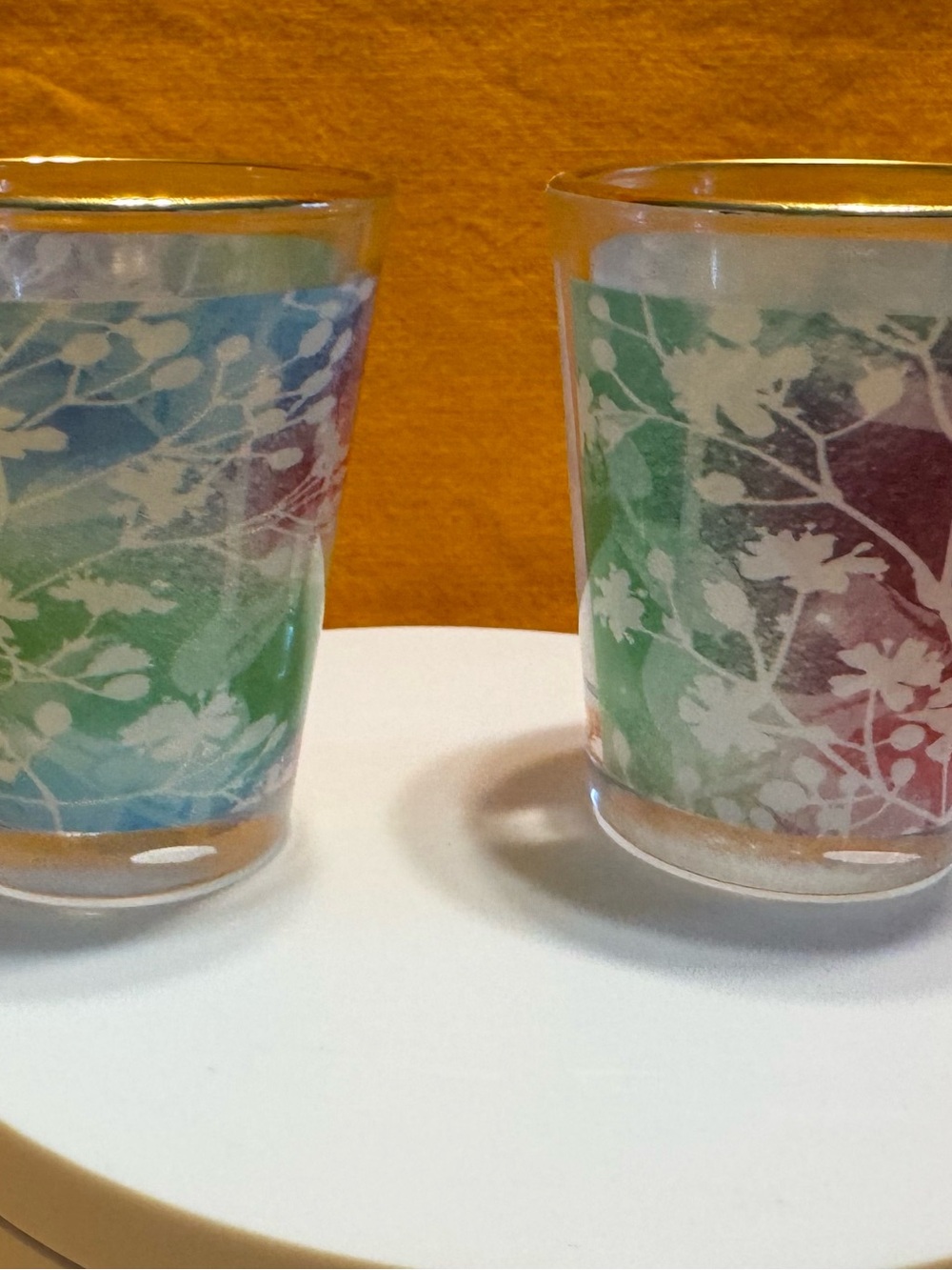 Set of 2 Floral Printed Shot Glasses— Multicolor